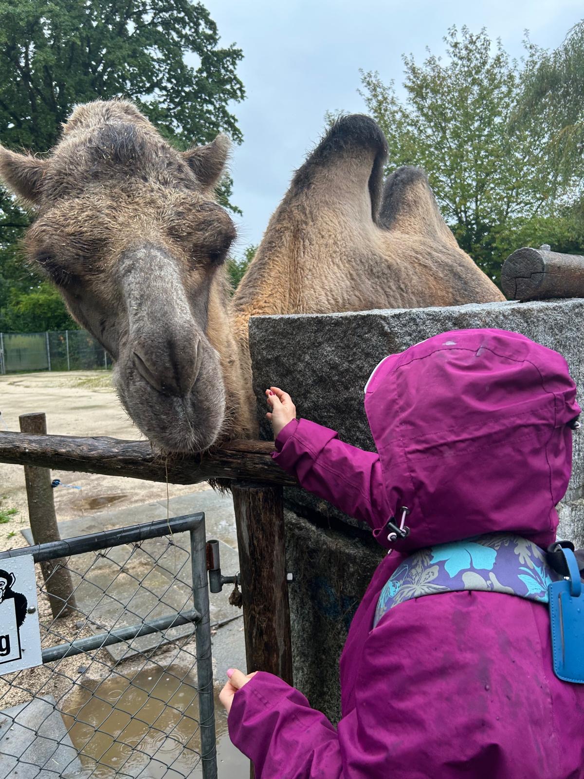 Assista_WK25_2108 (1).JPG